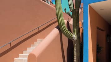 A staircase leading up to a building with a blue and orange facade, a large cactus in the foreground, and a clear blue sky.