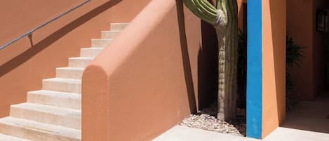 A staircase leading up to a building with a blue and orange facade, a large cactus in the foreground, and a clear blue sky.
