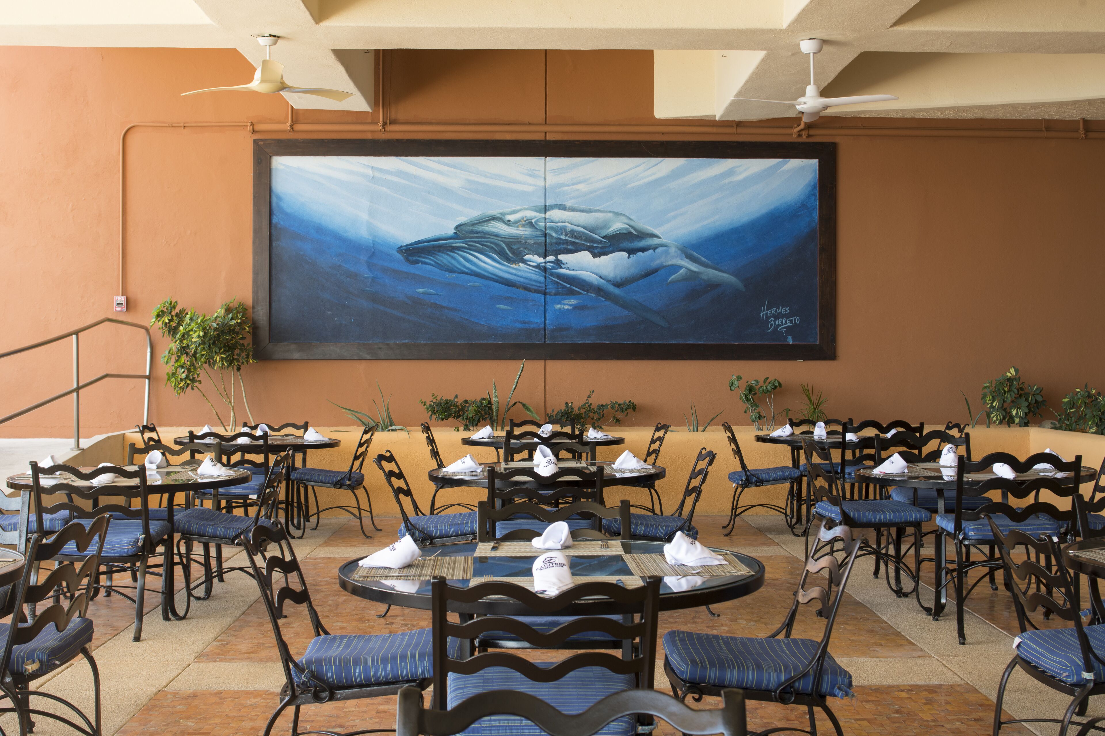 Foto - Club Regina Los Cabos