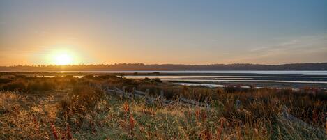 Un paysage côtier avec un coucher de soleil, des champs couverts d’herbe et une ligne de côte lointaine.