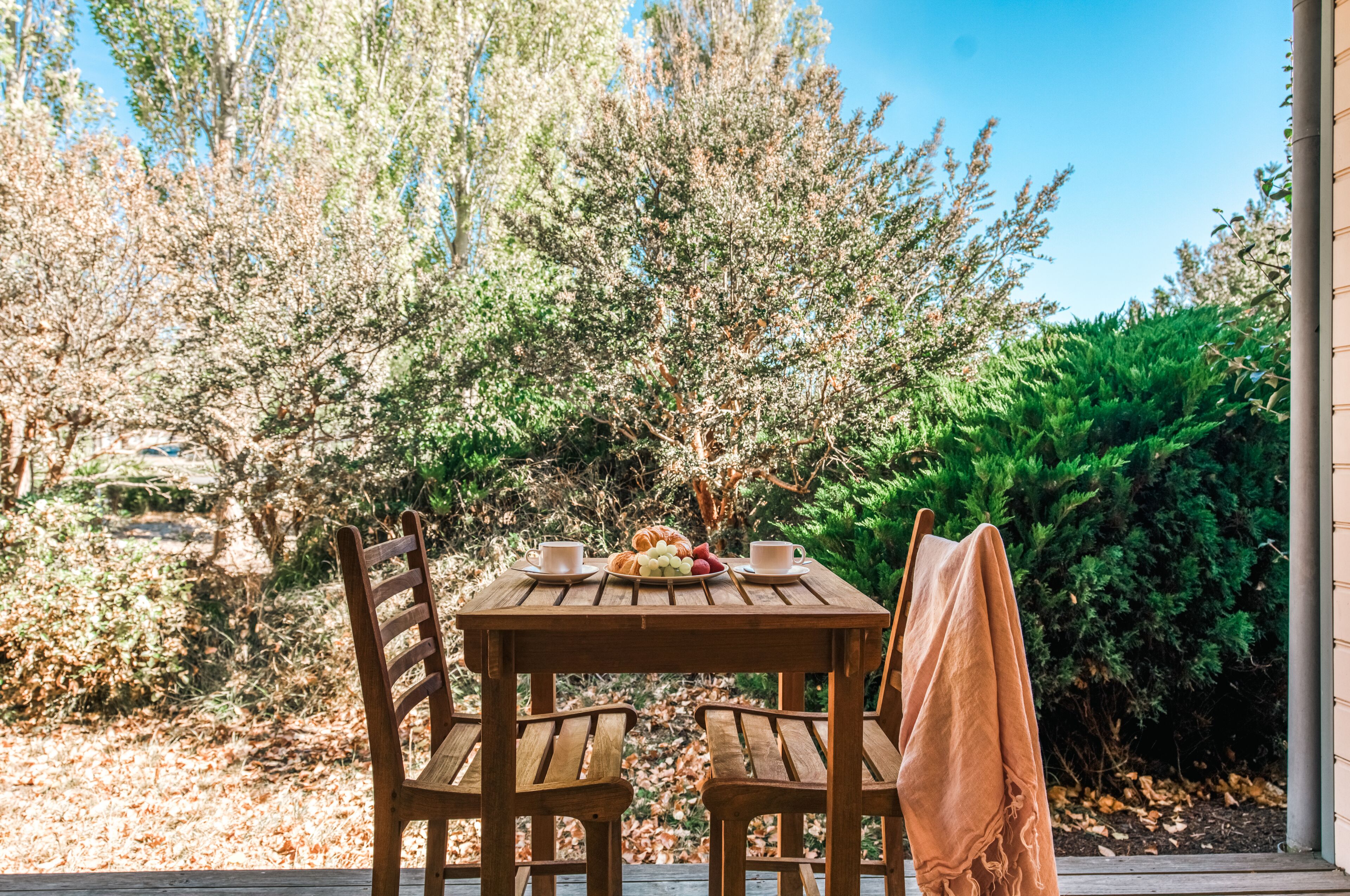 A wooden table with two chairs, a plate of fruit, and two cups, set outdoors with trees and bushes in the background.