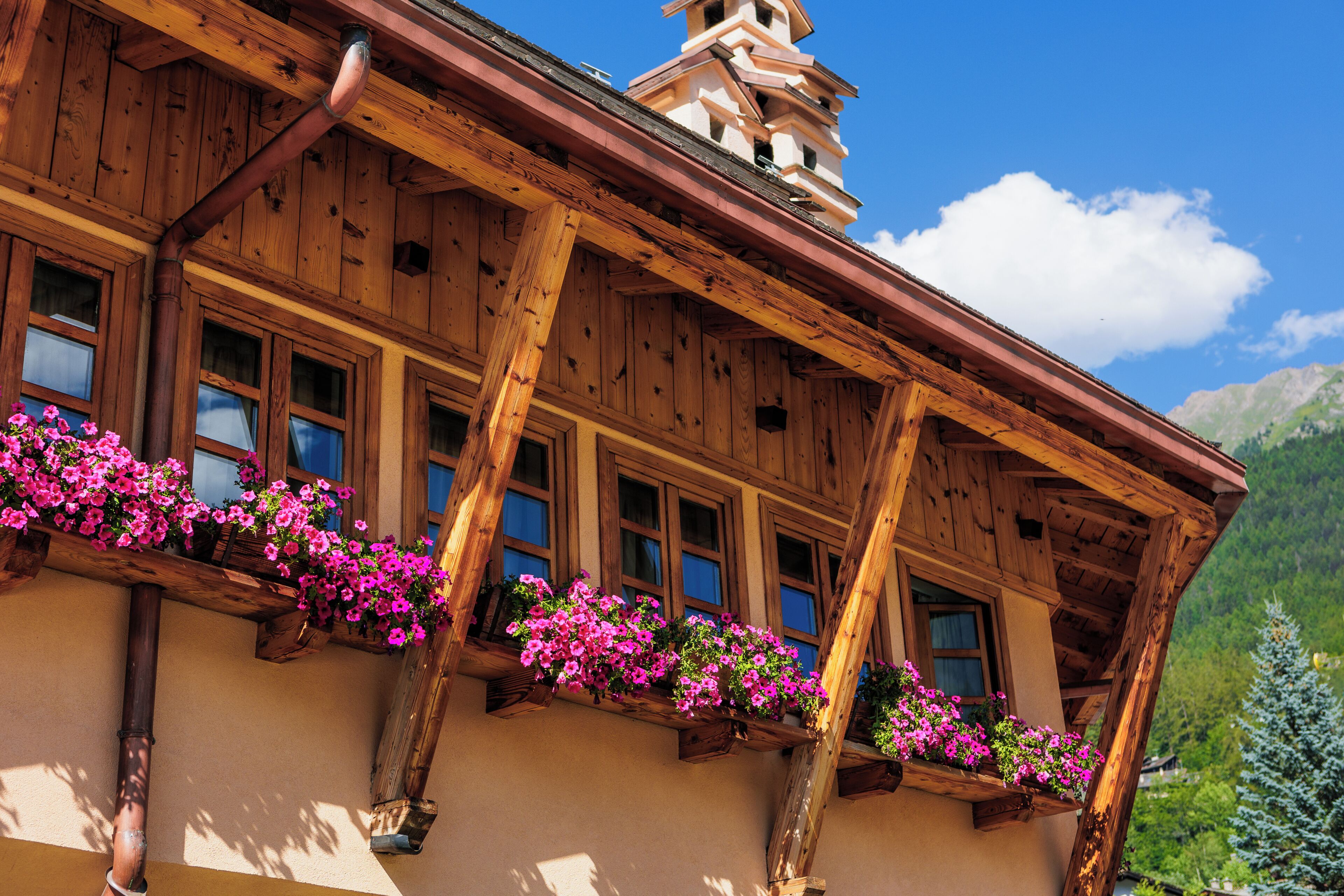 Un edificio de madera con varias ventanas y macetas con flores en el exterior.