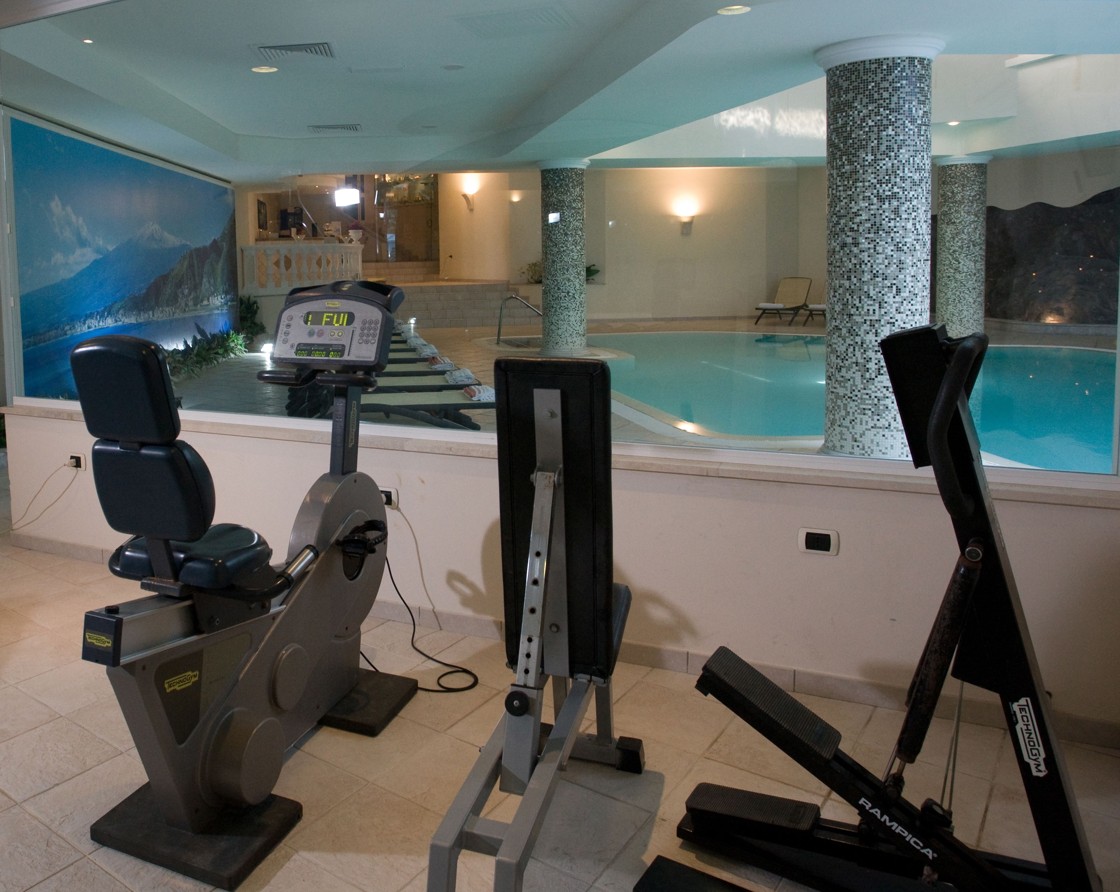 Een fitnessruimte met cardioapparatuur, een zwembad en een muurschildering van bergen.