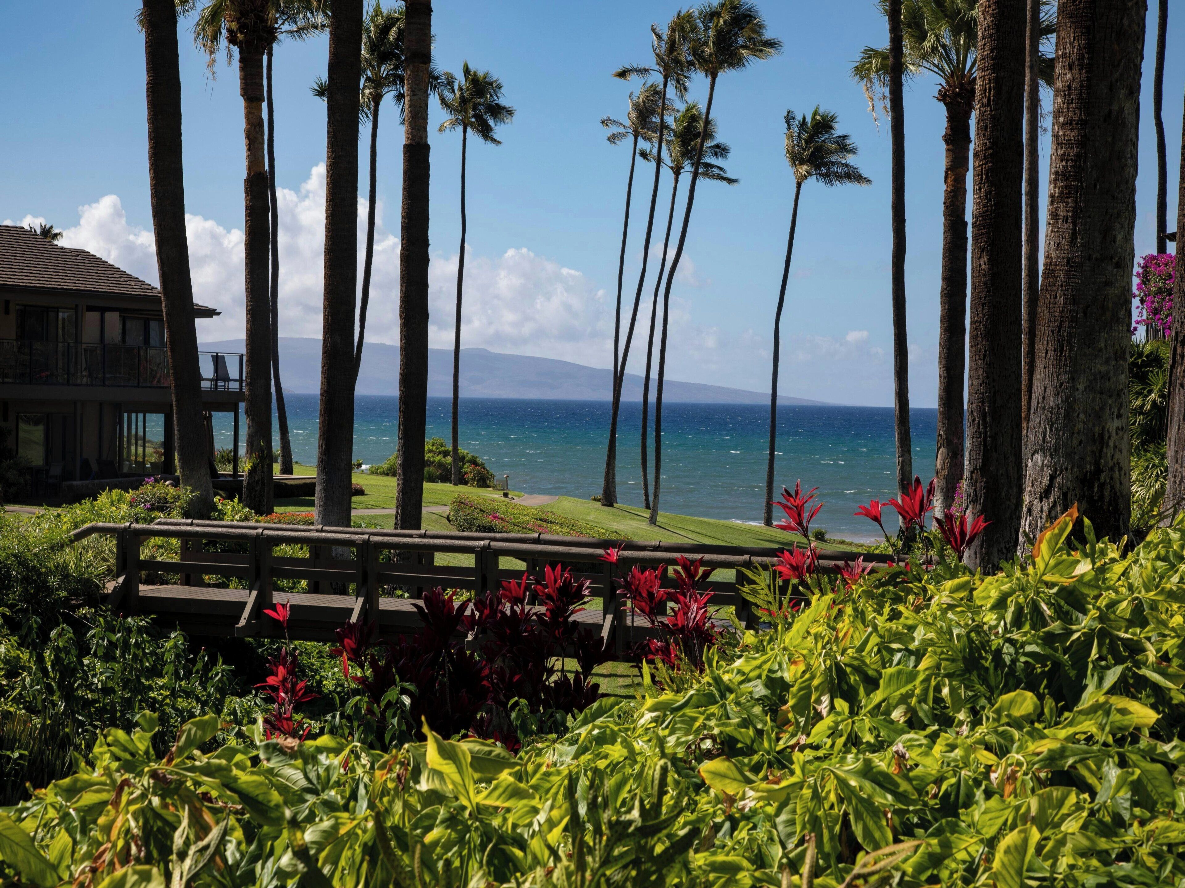 A coastal landscape with palm trees, a wooden deck, and a view of the ocean.