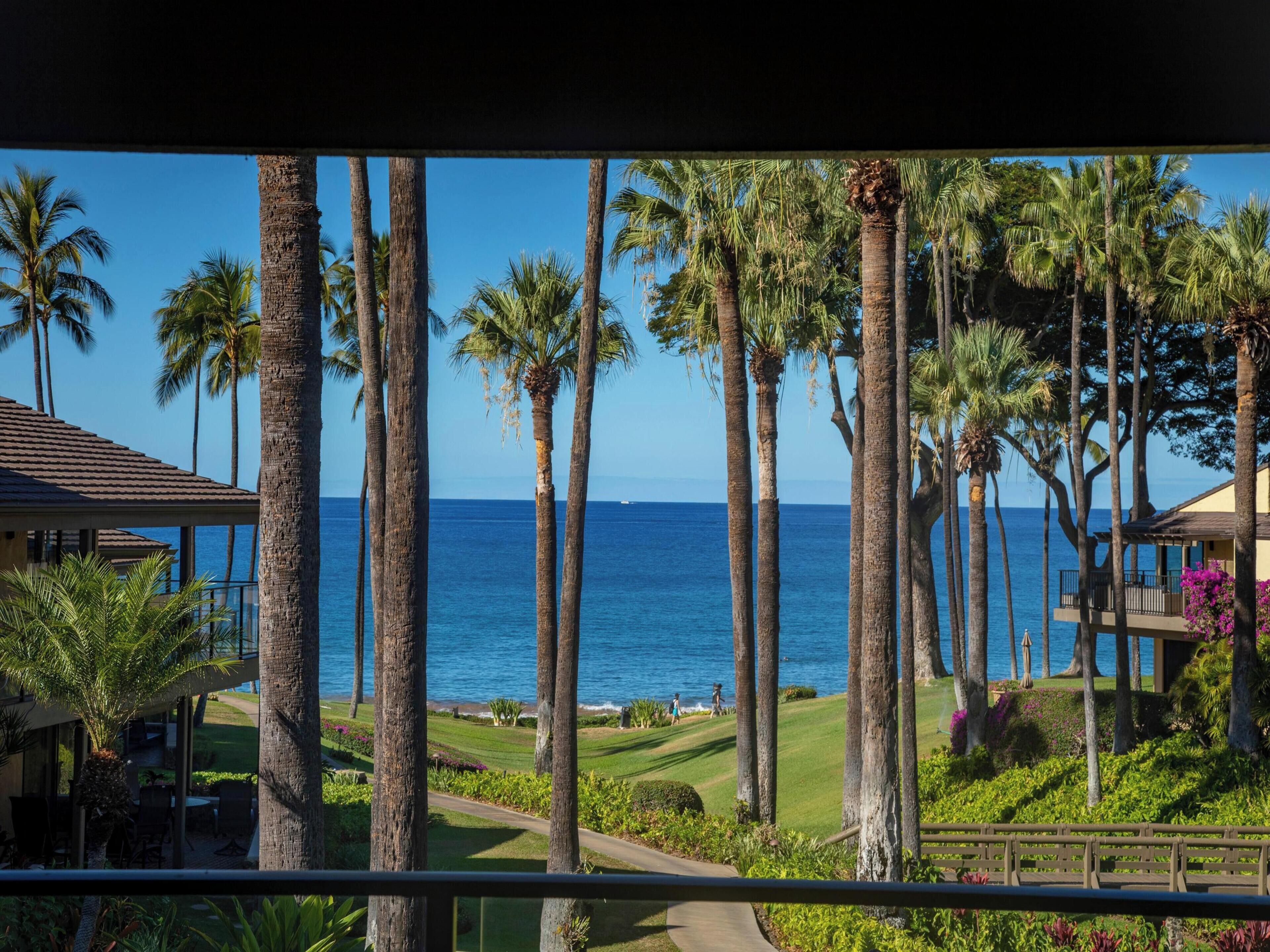 Condo, 1 habitación, vista al océano (1102) | Servicio de la propiedad