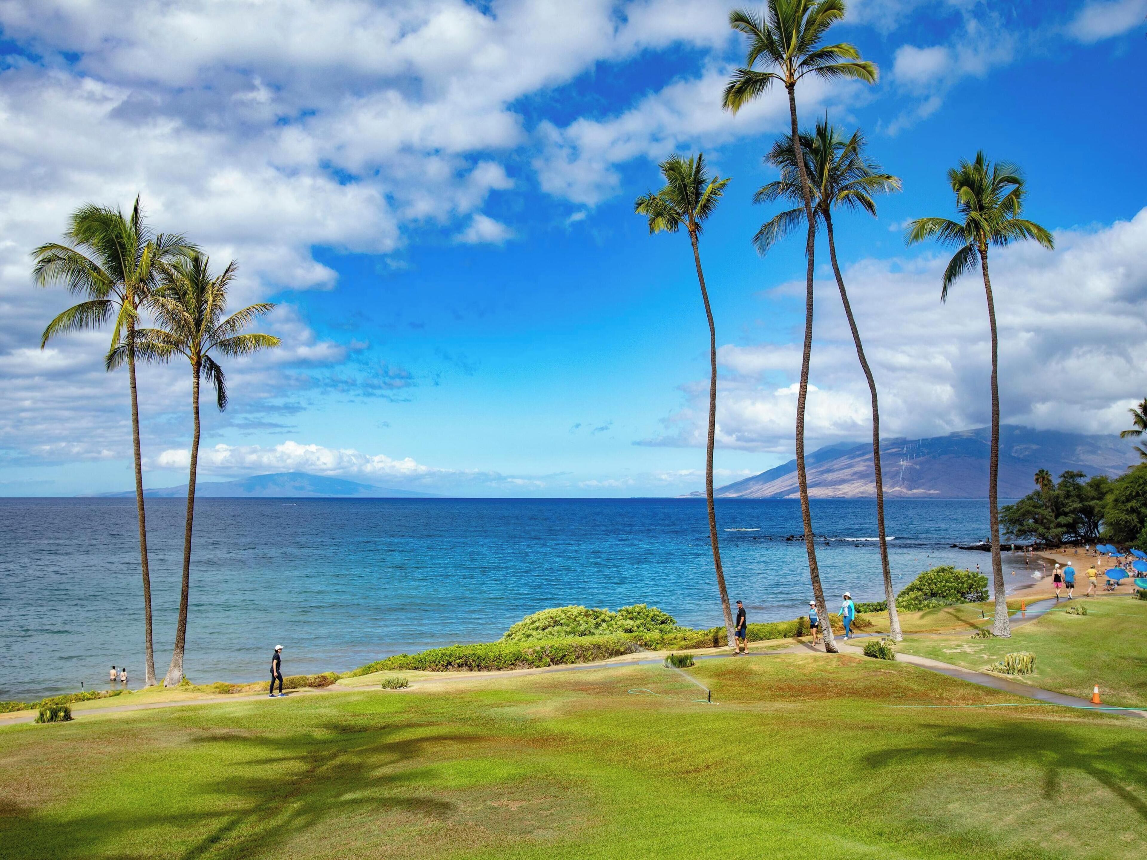 A coastal view with palm trees, a grassy area, and a beach with people.