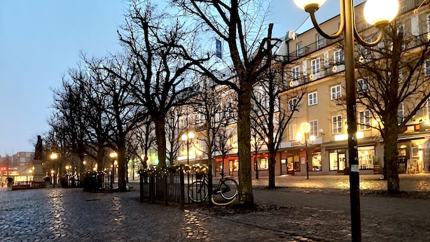 Une rue pavée au crépuscule, avec des arbres sans feuilles et un vélo garé au bord du trottoir.