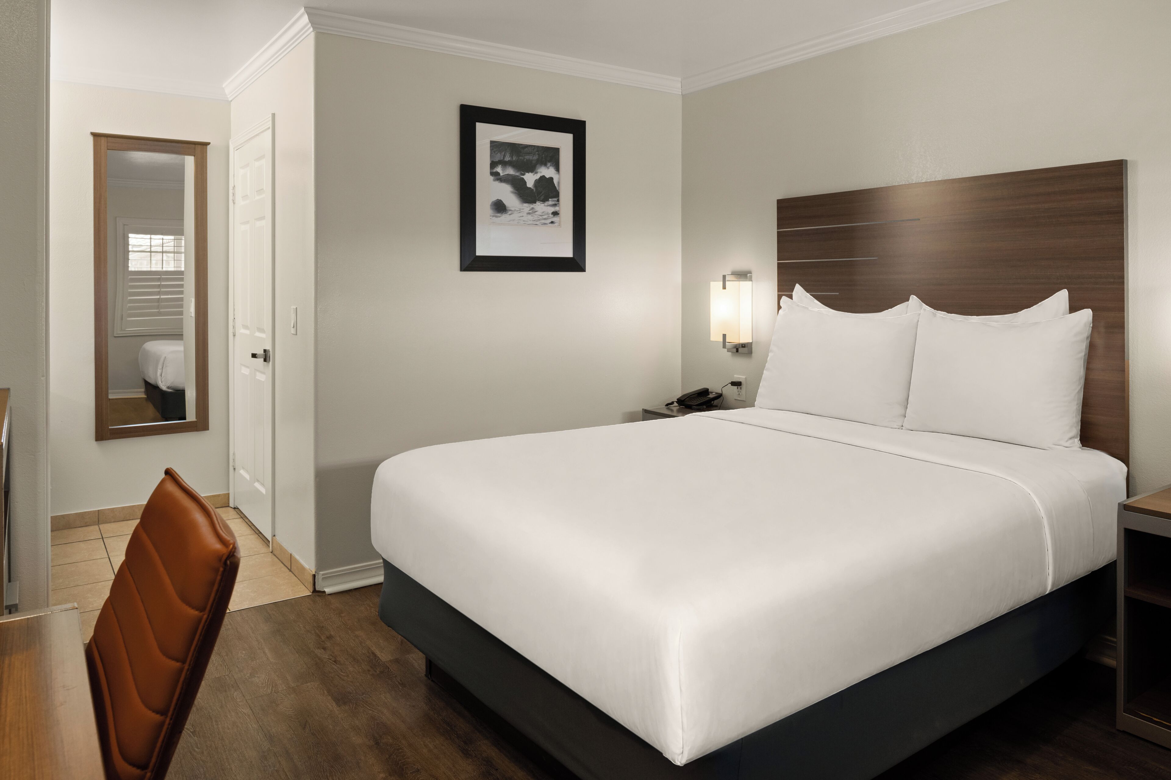 Room, 1 King Bed