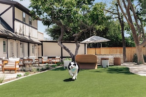 Pet-friendly amenities - The Marlo (Solvang)