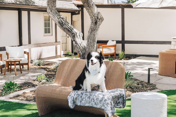 Pet-friendly