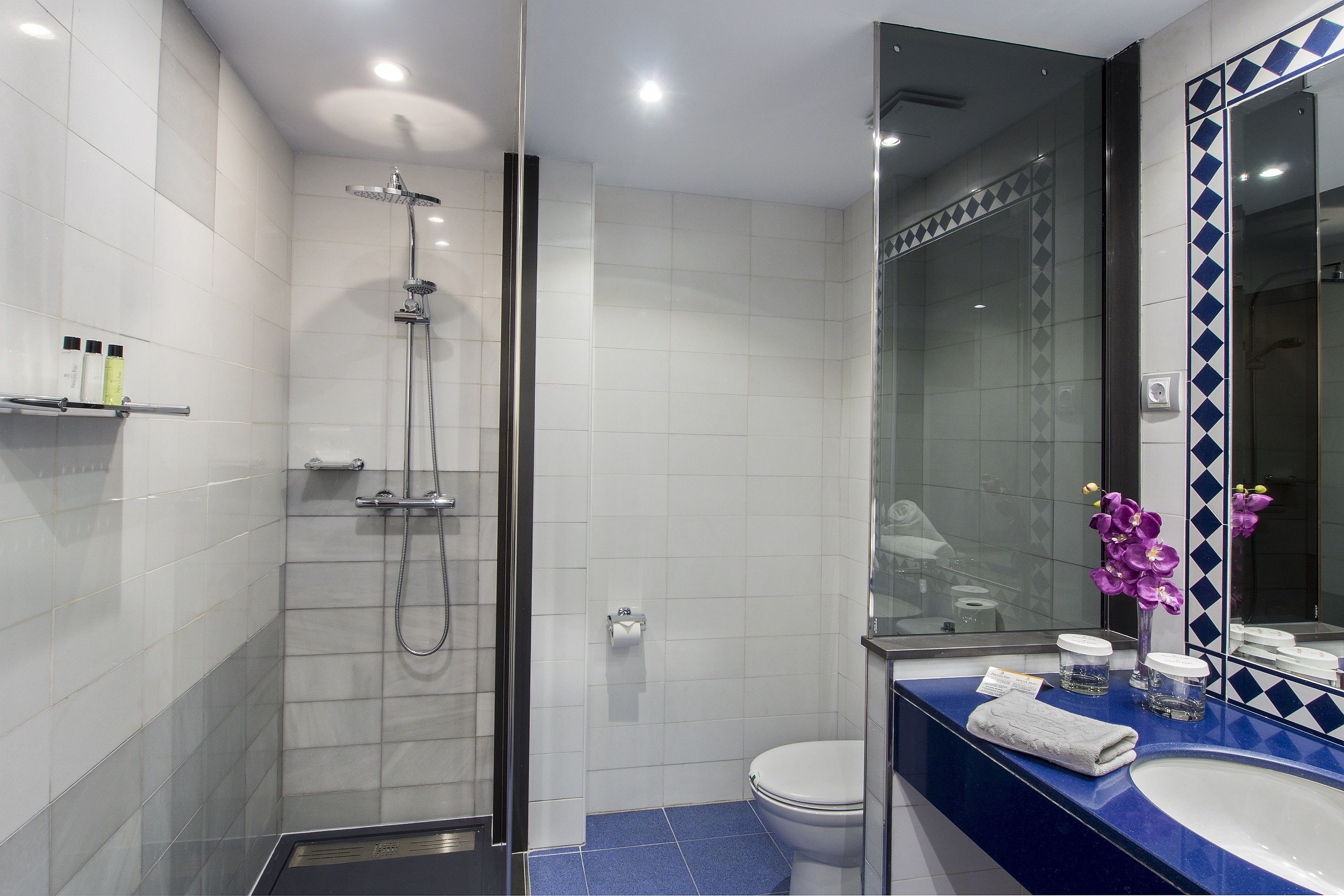 Foto - Hotel Princesa Parc