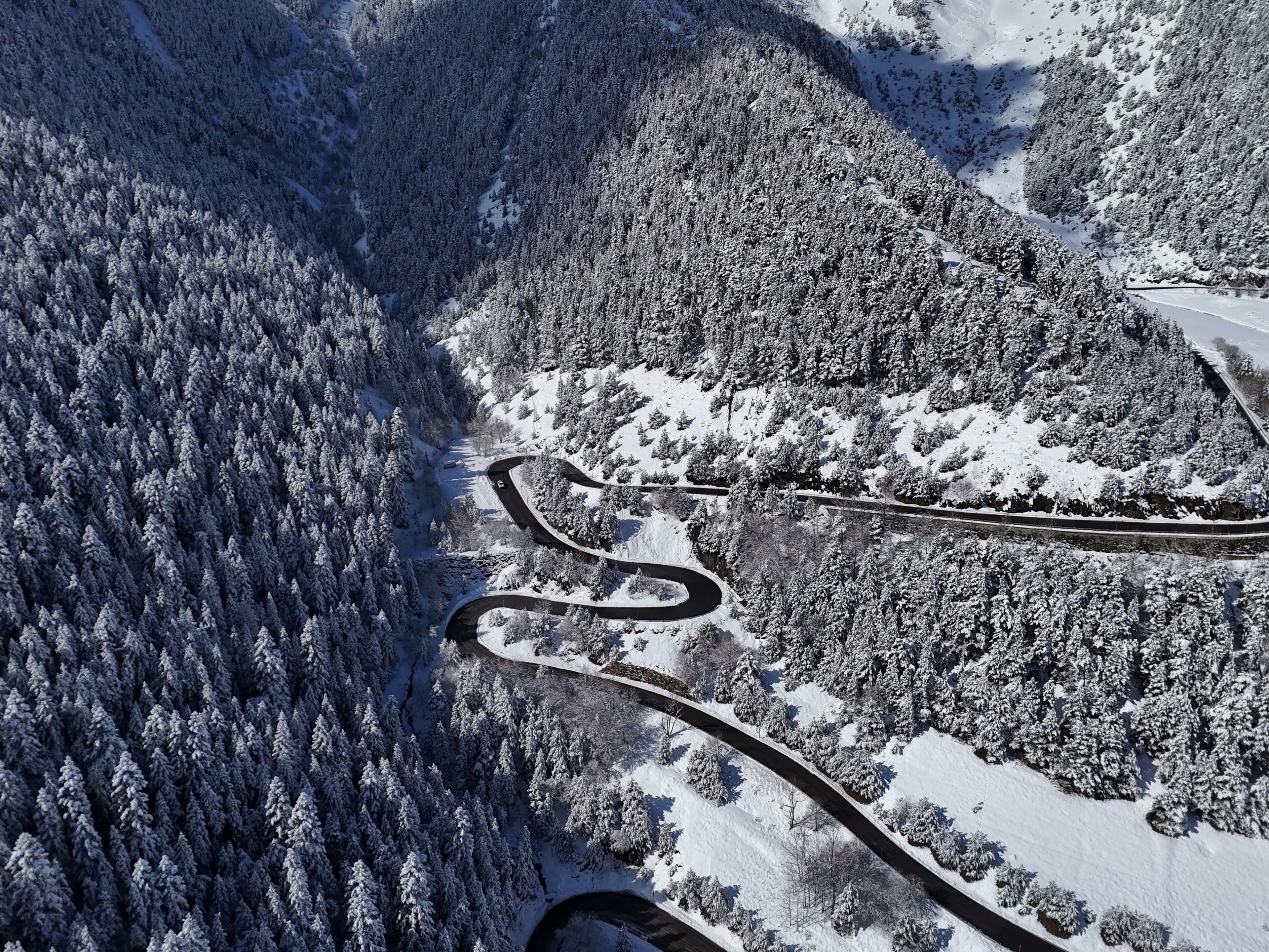 Vista aèria d'una carretera sinuosa que atravessa un bosc cobert de neu.