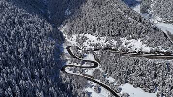 Vista aérea de un camino sinuoso que atraviesa un bosque cubierto de nieve.