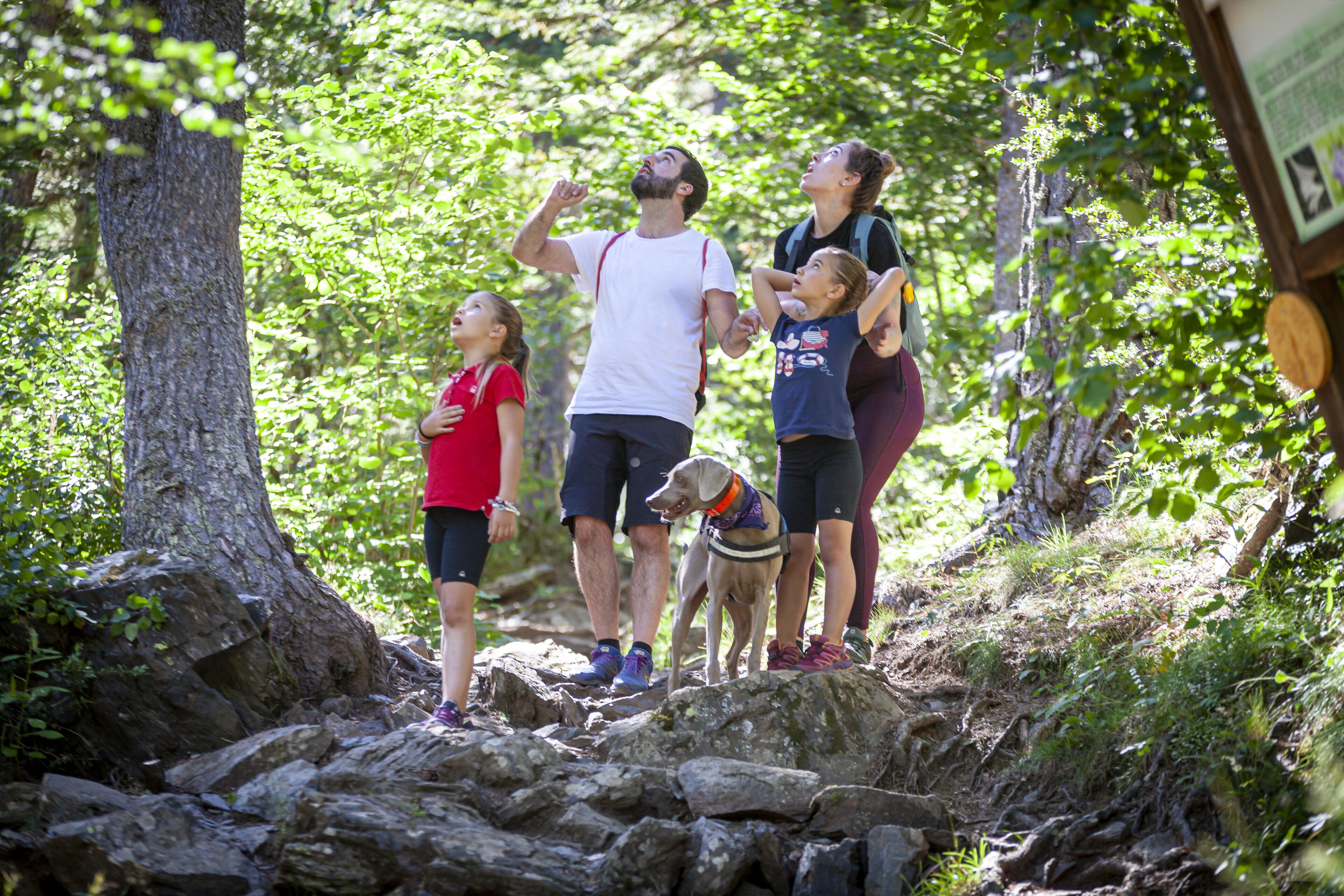A group of people and a dog on a rocky trail in a forested area.