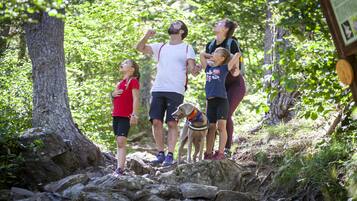 A group of people and a dog on a rocky trail in a forested area.