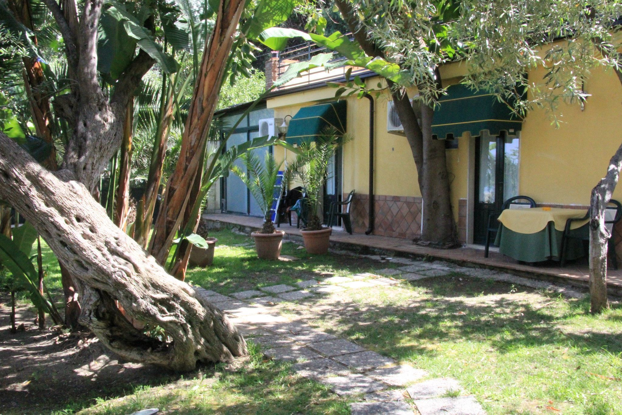 A courtyard with a stone pathway, potted plants, and a building with a green awning.