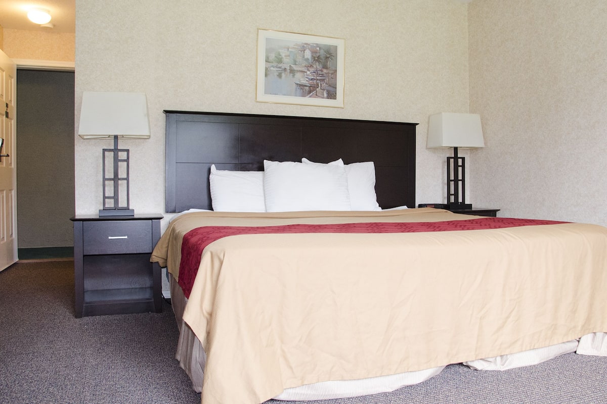 Ein Hotelzimmer mit einem Bett, zwei Nachttischen, einem Wandbild und einer Tür.