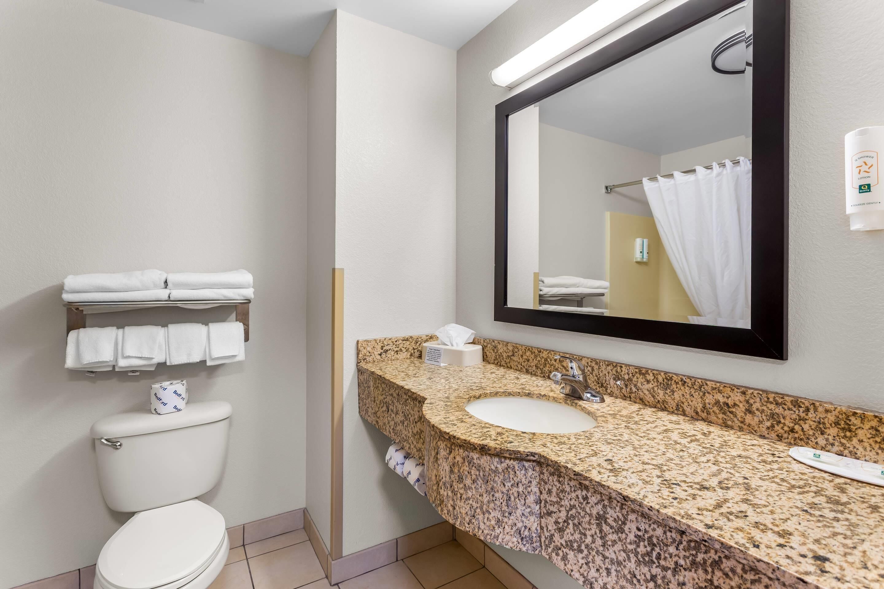 Un baño con inodoro, lavabo y espejo.