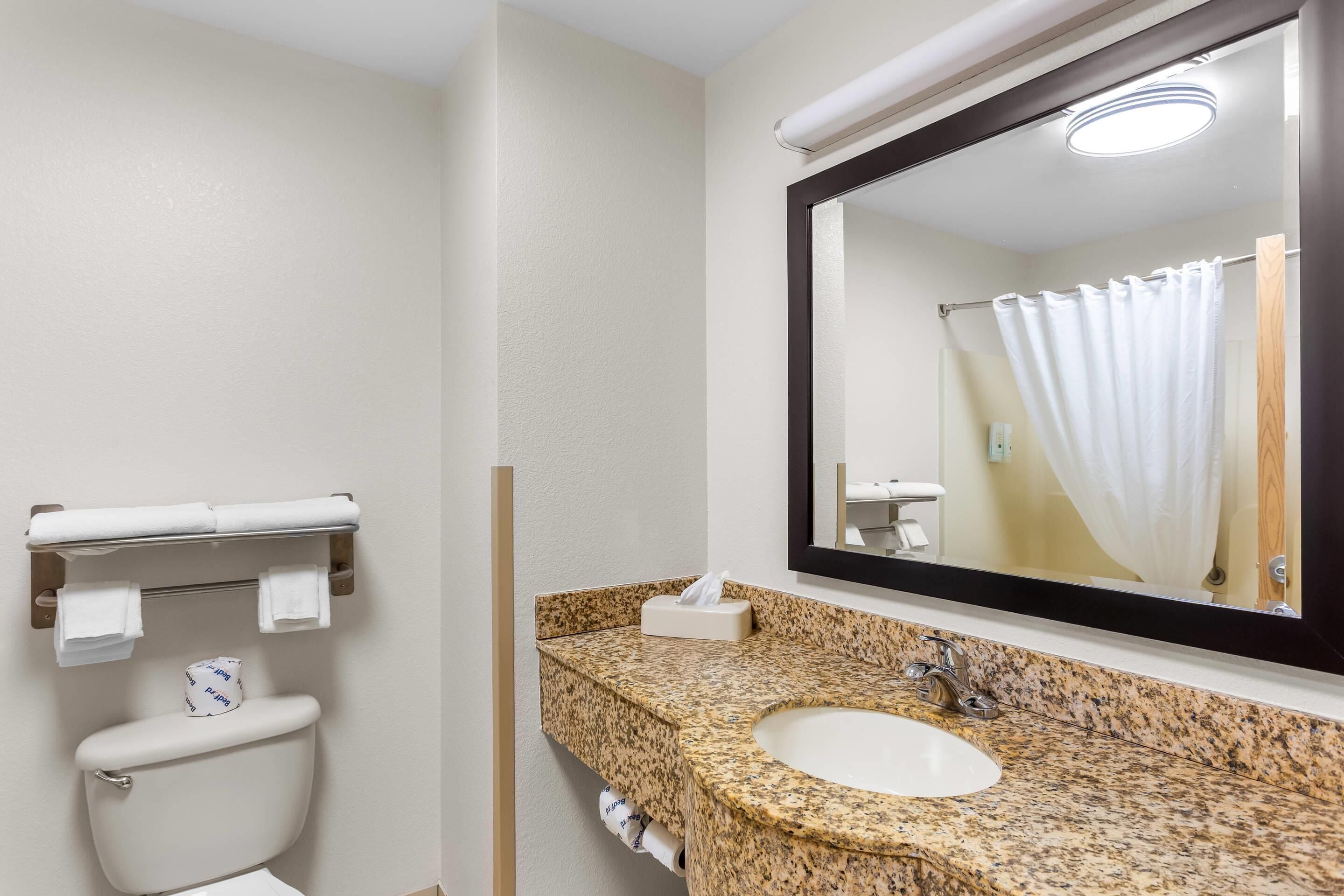 A bathroom with a toilet, sink, and mirror.