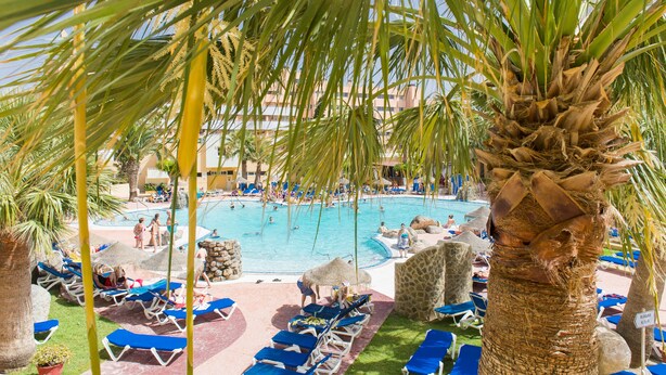 Un área de piscina con sillones de descanso y palmeras.