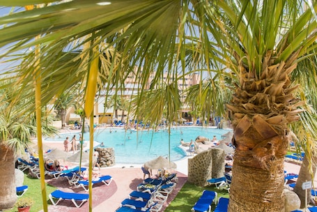 Servicio de la propiedad. ALEGRIA Fénix Family