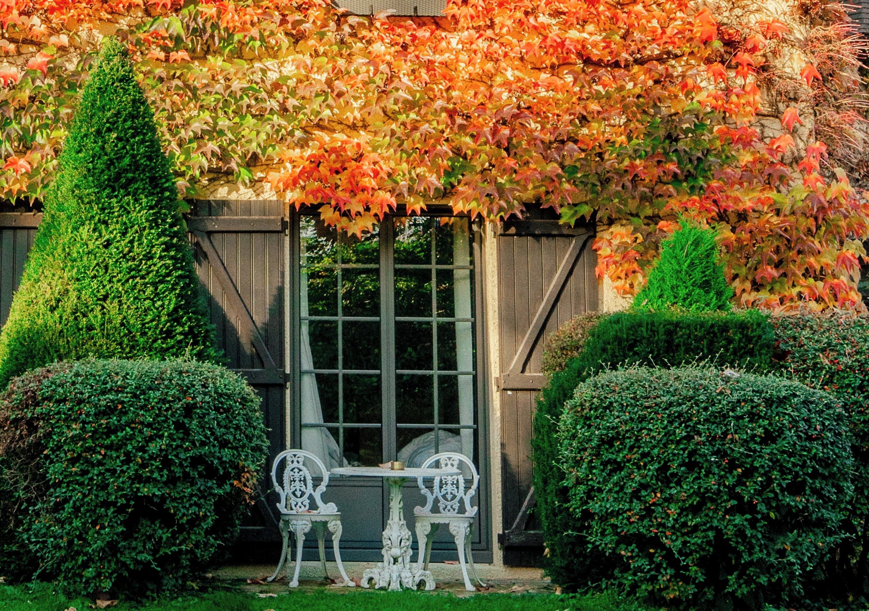 Chambre Deluxe, terrasse