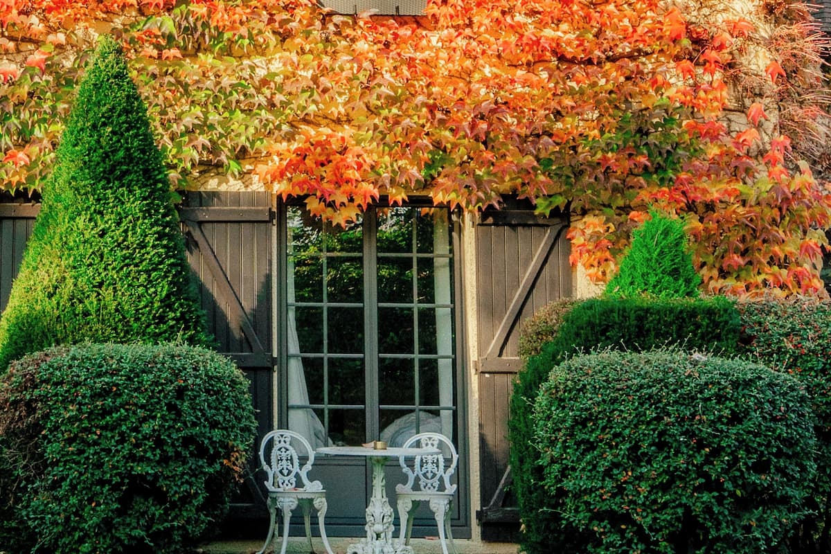 Chambre Deluxe, terrasse
