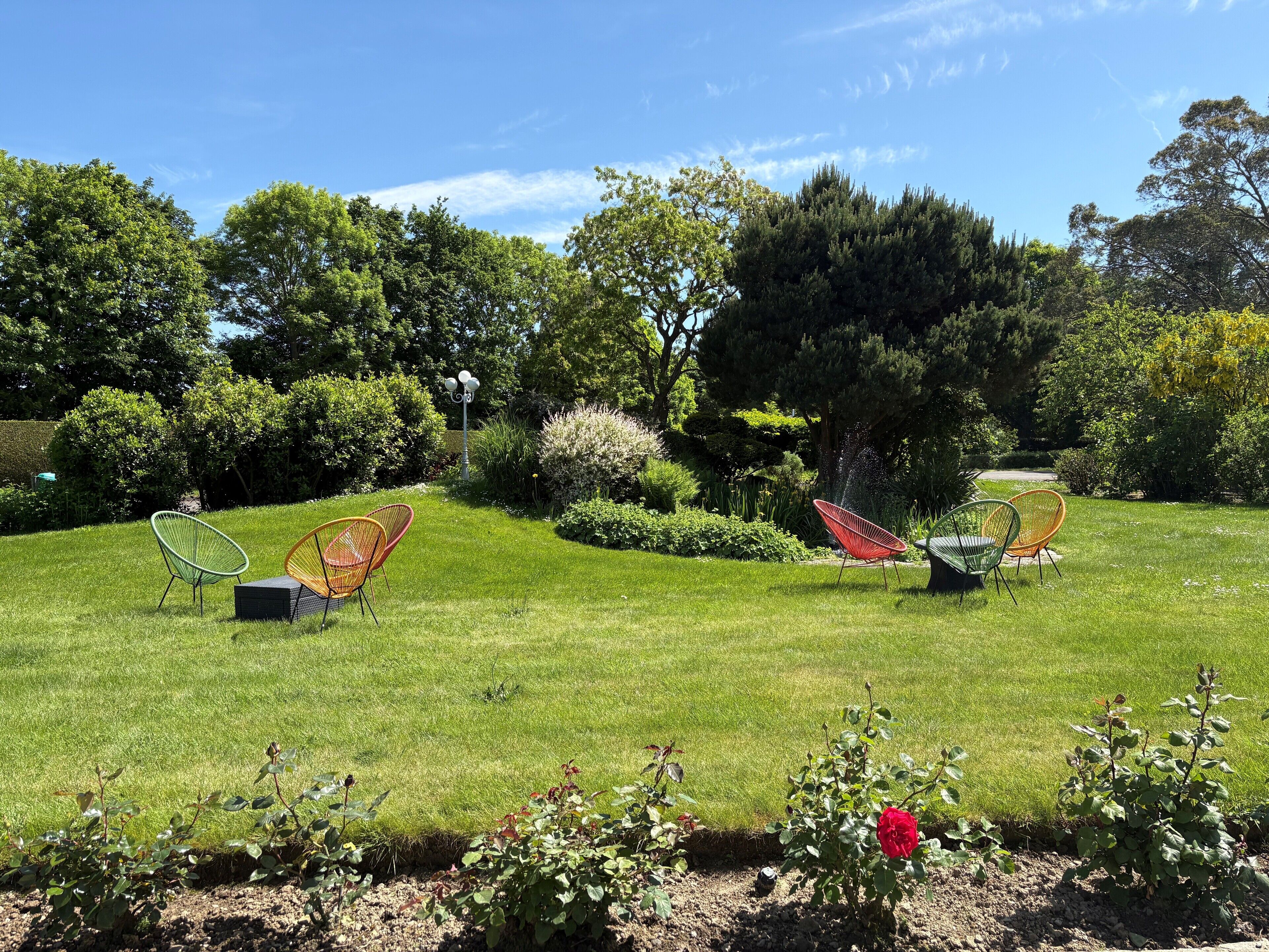 Un jardin bien entretenu, avec une pelouse, plusieurs chaises d’extérieur et une variété d’arbres et d’arbustes.