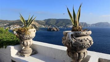 Terrasse sur le toit