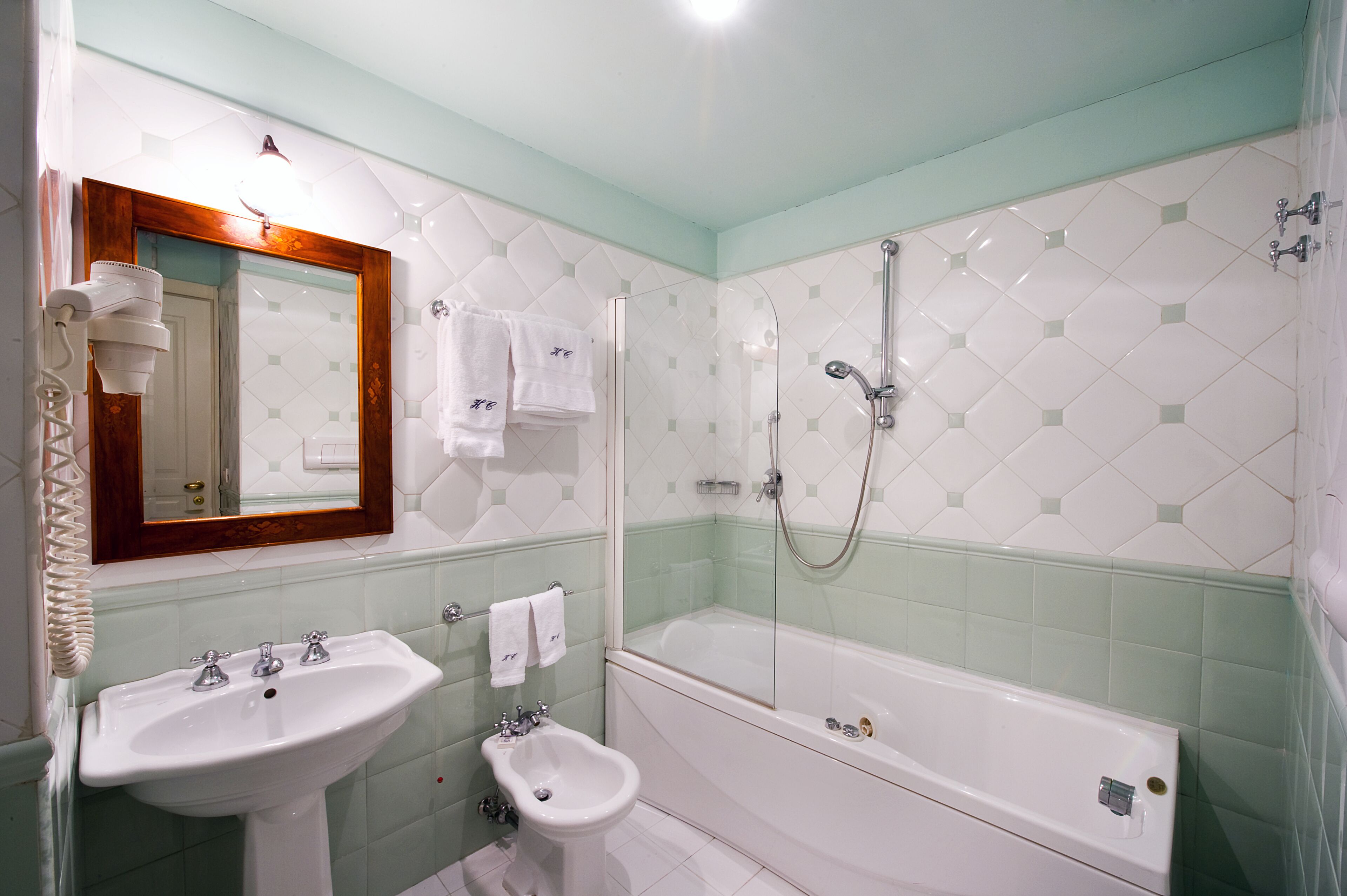 hair dryer, bidet, towels, soap