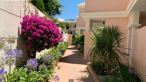 Un étroit sentier bordé de magnifiques bougainvilliers et de fleurs violettes, qui mène à un bâtiment à la façade beige.