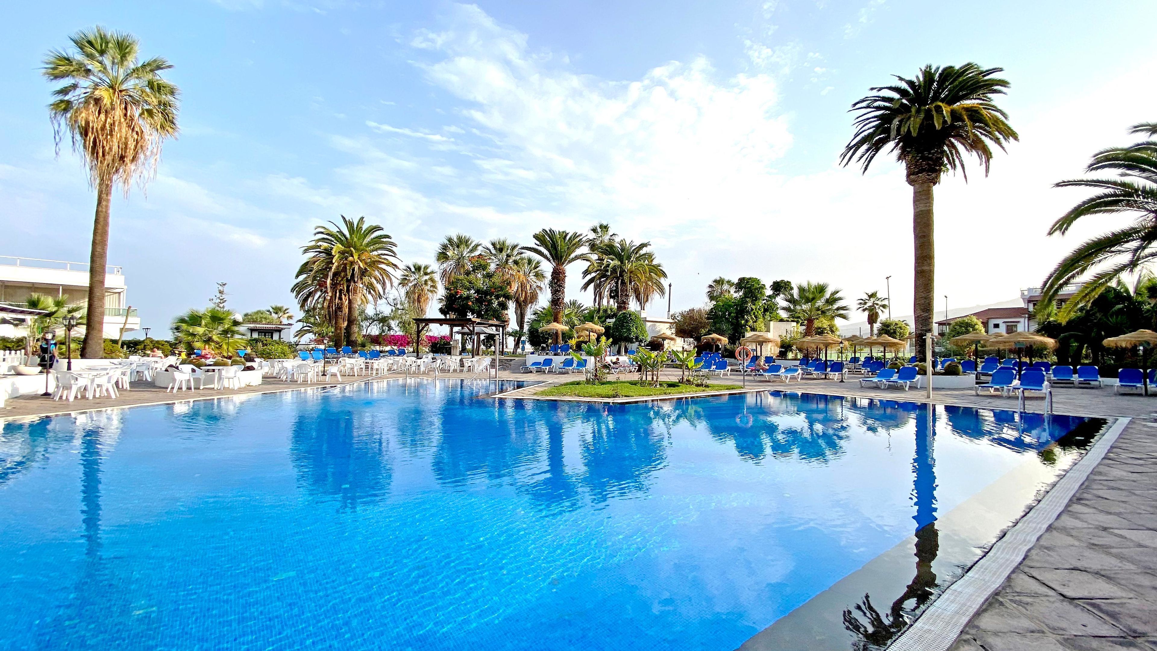 A swimming pool with lounge chairs and palm trees.