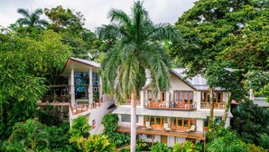 A two-story house surrounded by lush greenery, with a prominent palm tree in the center. - Si Como No Resort, Spa and Wildlife Refuge (Quepos)