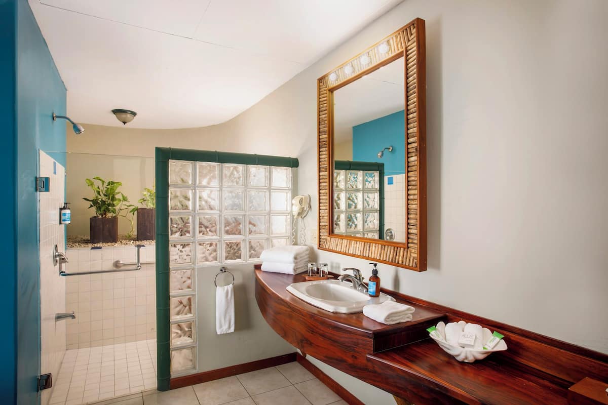 deluxe plus, 1 king bed, balcony, sea facing | bathroom | eco-friendly toiletries, hair dryer, towels