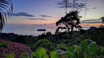 Un paisaje tropical con vista al océano, un árbol grande y abundante vegetación.