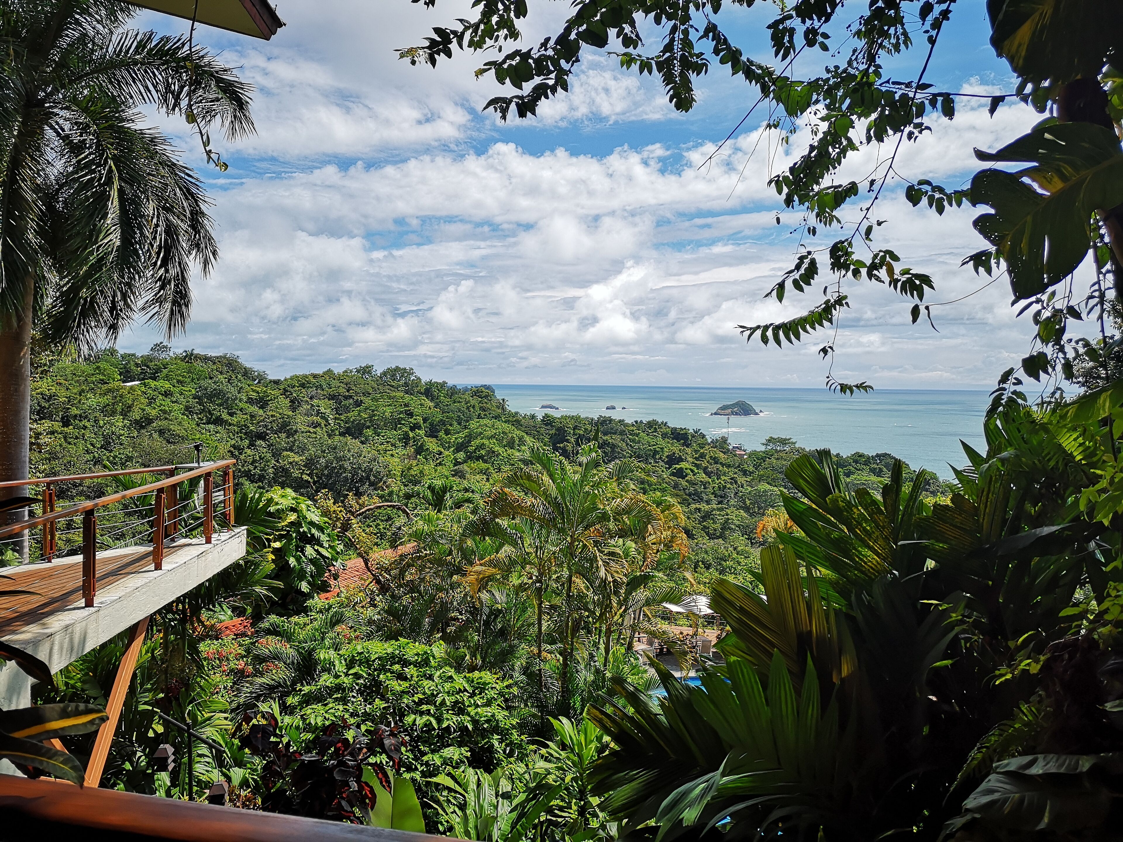 A lush, tropical landscape with a wooden deck overlooking a dense forest and a view of the ocean.