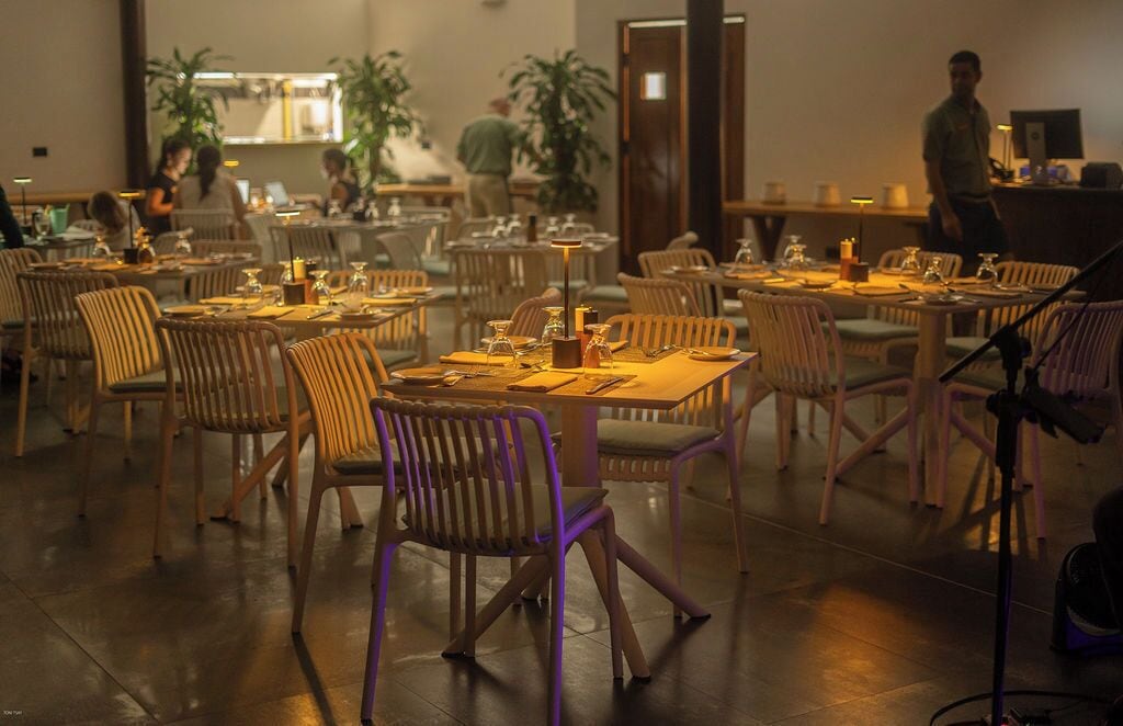 A restaurant with multiple tables and chairs, some with plants.