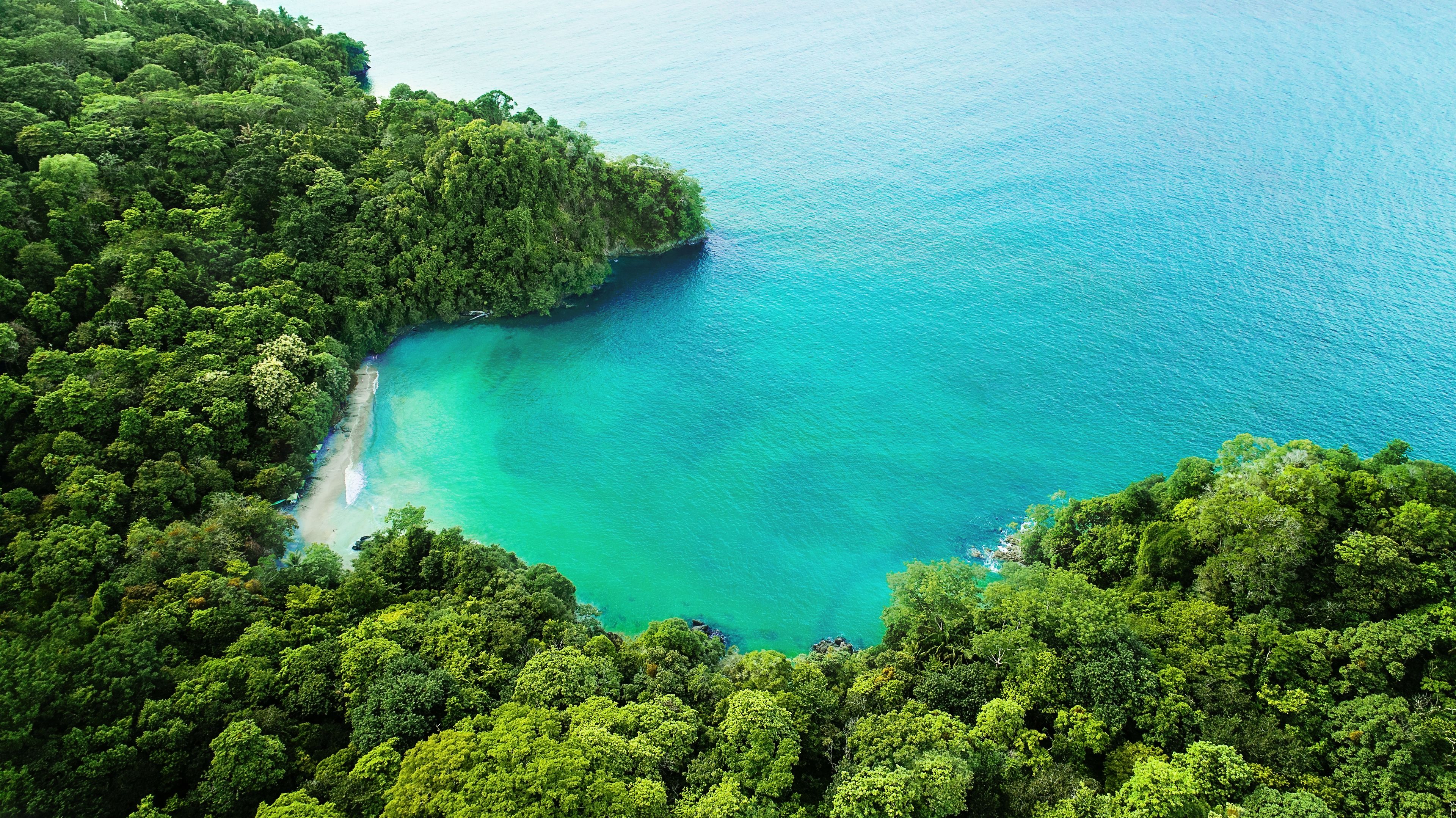 An aerial view of a lush, green forested area with a clear turquoise sea.