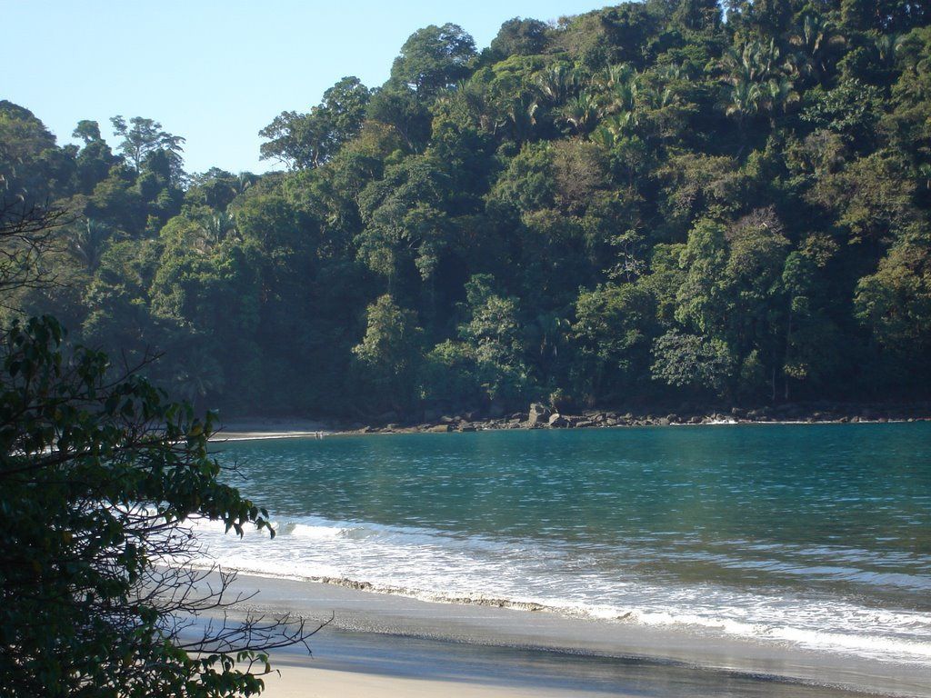 Una playa con agua turquesa cristalina, rodeada de un bosque verde y frondoso.