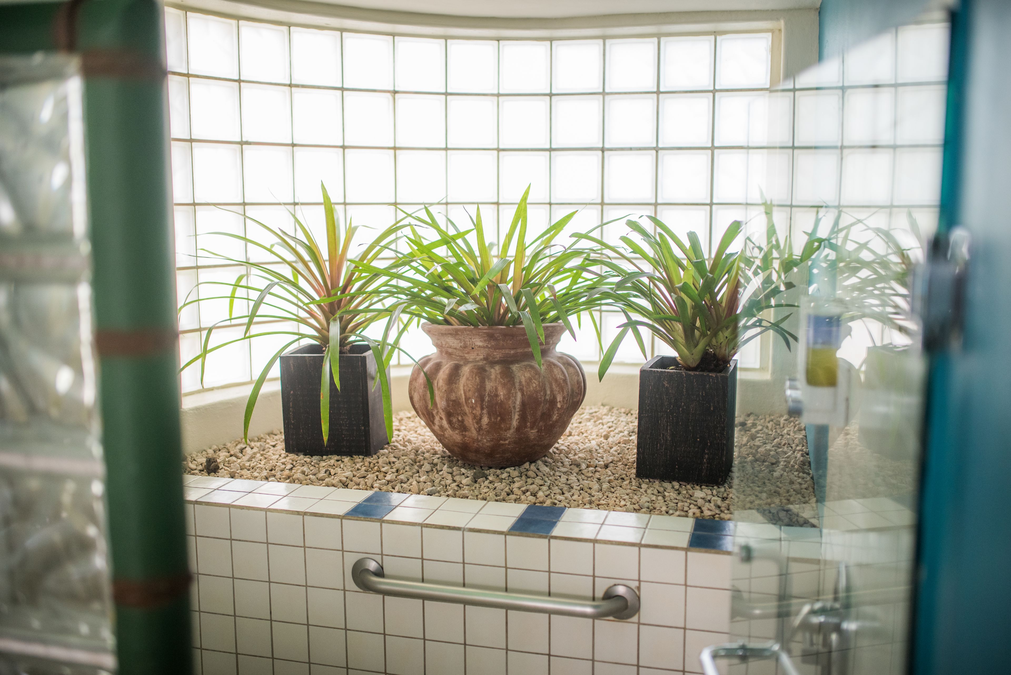 deluxe plus, 1 king bed, balcony, sea facing | bathroom | eco-friendly toiletries, hair dryer, towels