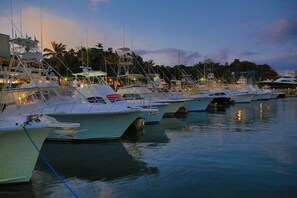 A marina with several yachts docked at night.