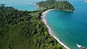 Overzicht vanuit de lucht van een kustgebied met dicht bos, een gebogen strand en helderblauw water.