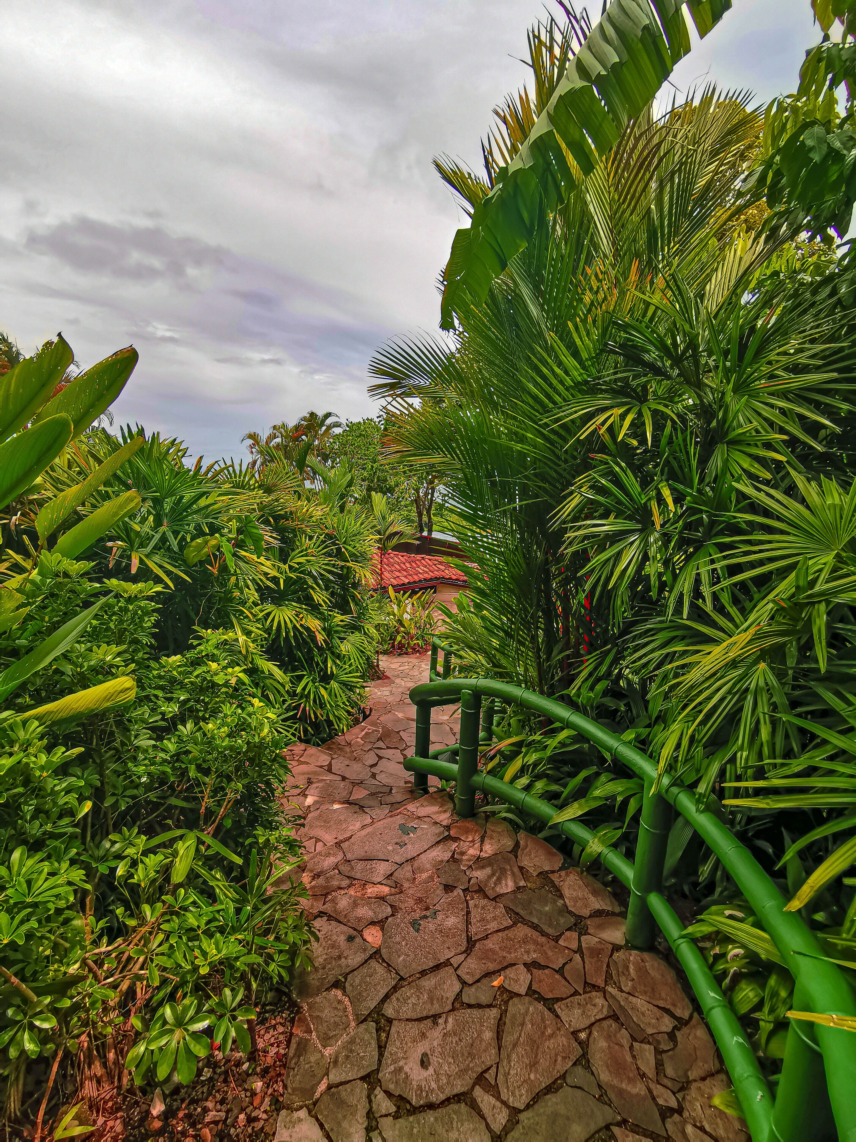 A stone pathway leading to a building with a red roof, surrounded by lush tropical vegetation.