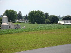 Property grounds - Soudersburg Motel (Ronks)