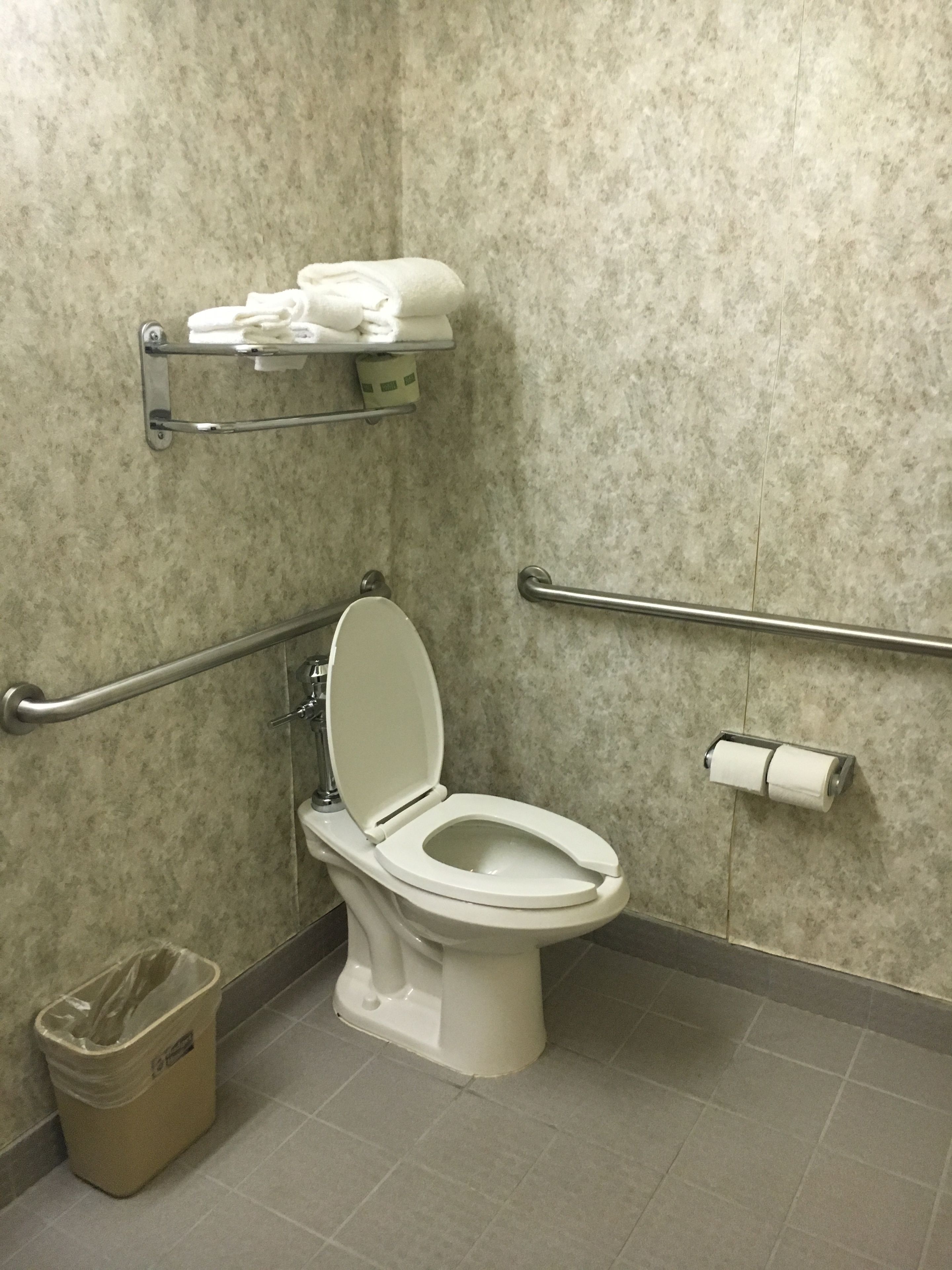 A bathroom with a toilet, grab bars, a trash bin, and a towel rack.