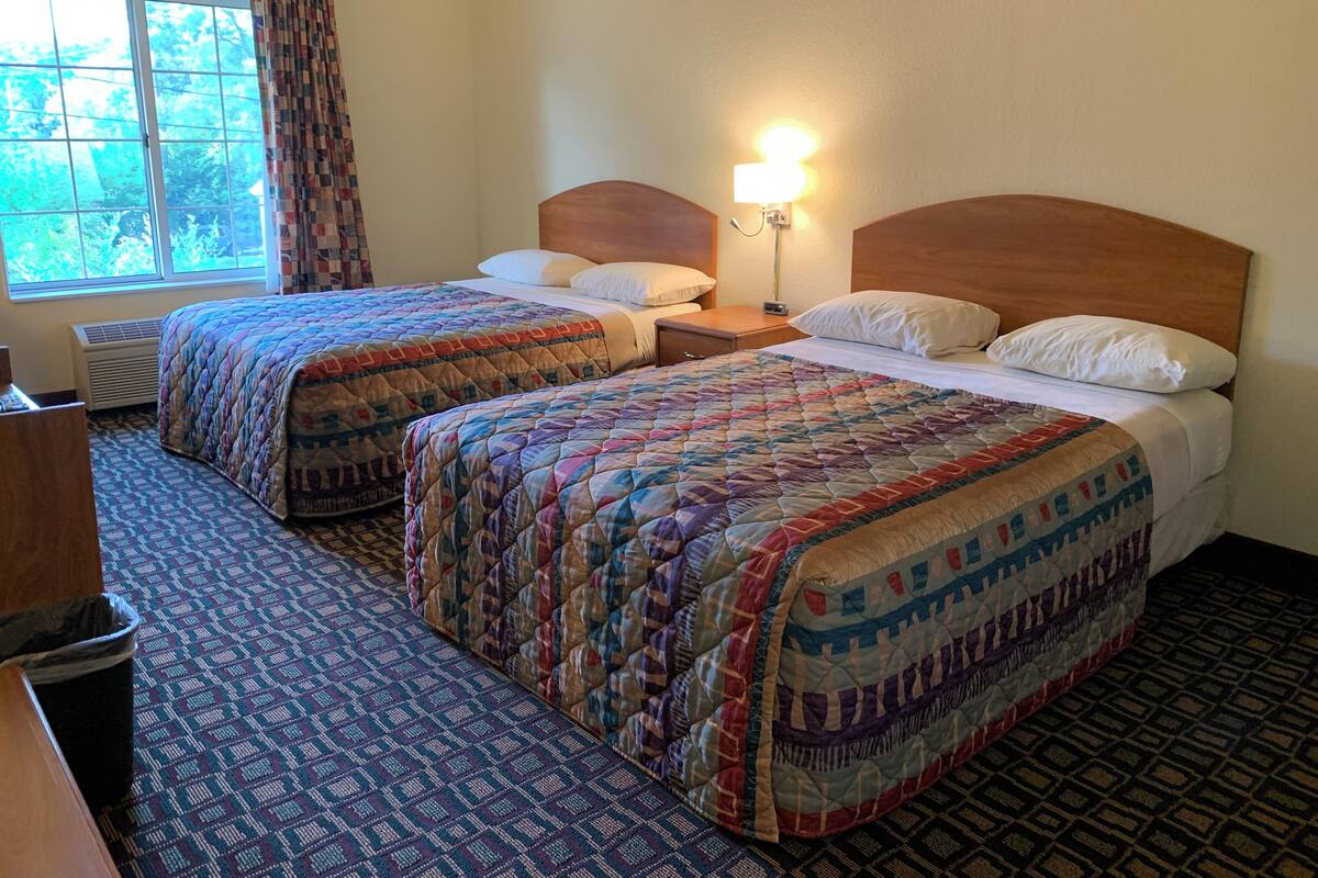 Une chambre d’hôtel avec deux lits, une fenêtre avec des rideaux, une lampe de chevet et une moquette à motifs.