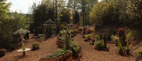 A garden with various plants and a wooden bench.