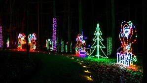 A nighttime view of a forest with illuminated Christmas decorations, including figures and trees.