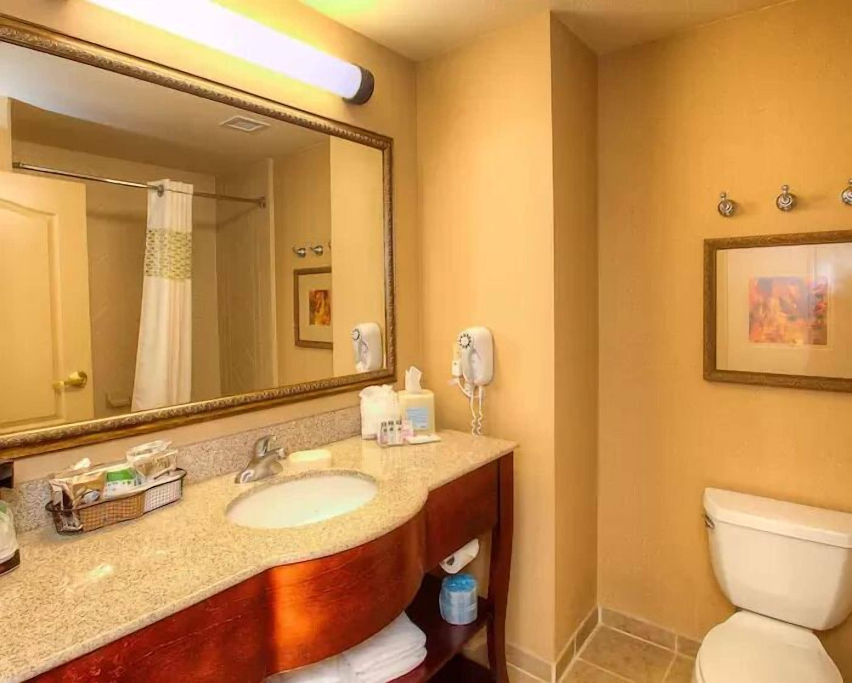 combined shower/bathtub, hair dryer, towels