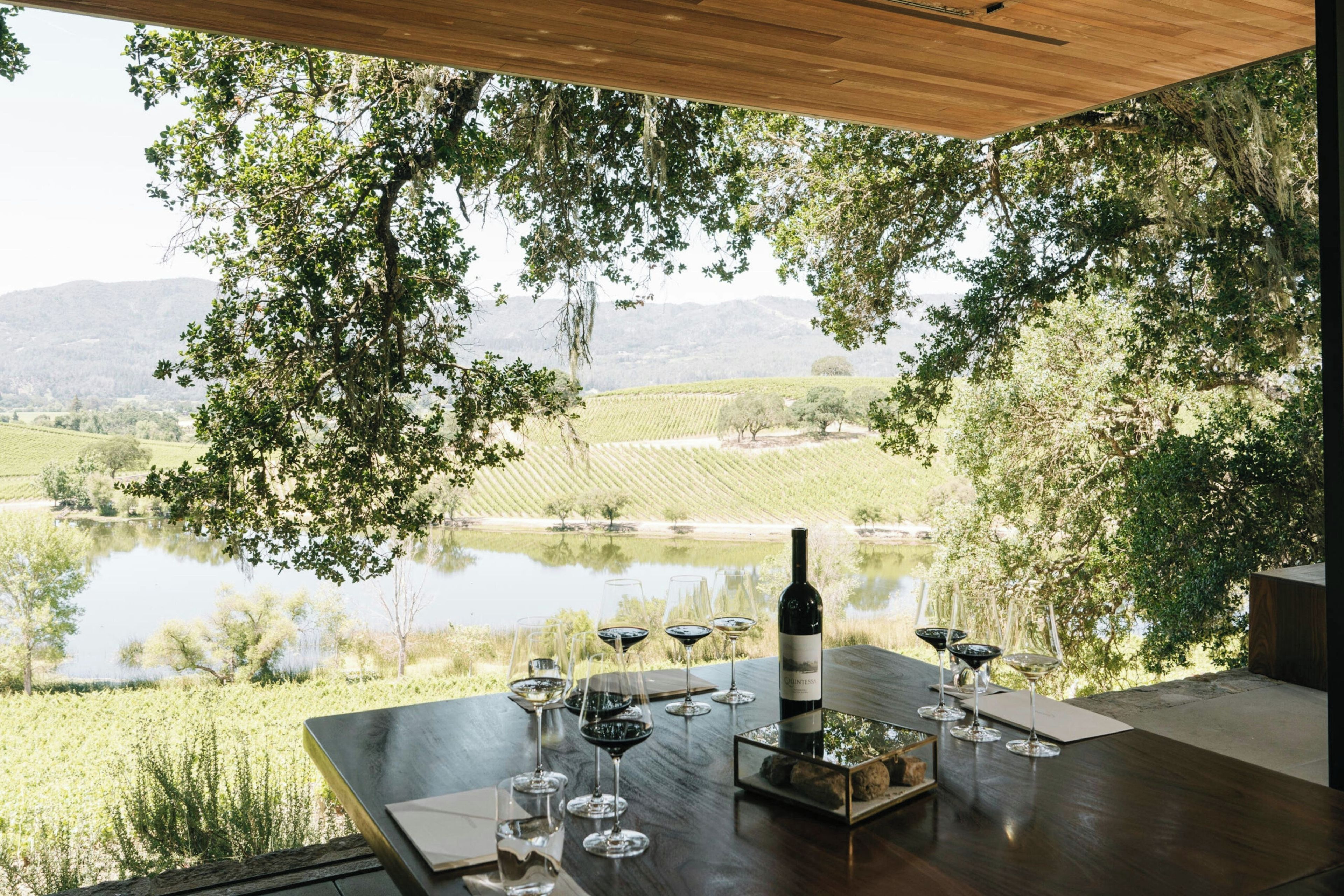 Zona pranzo all'aperto con vista su un vigneto e un lago.